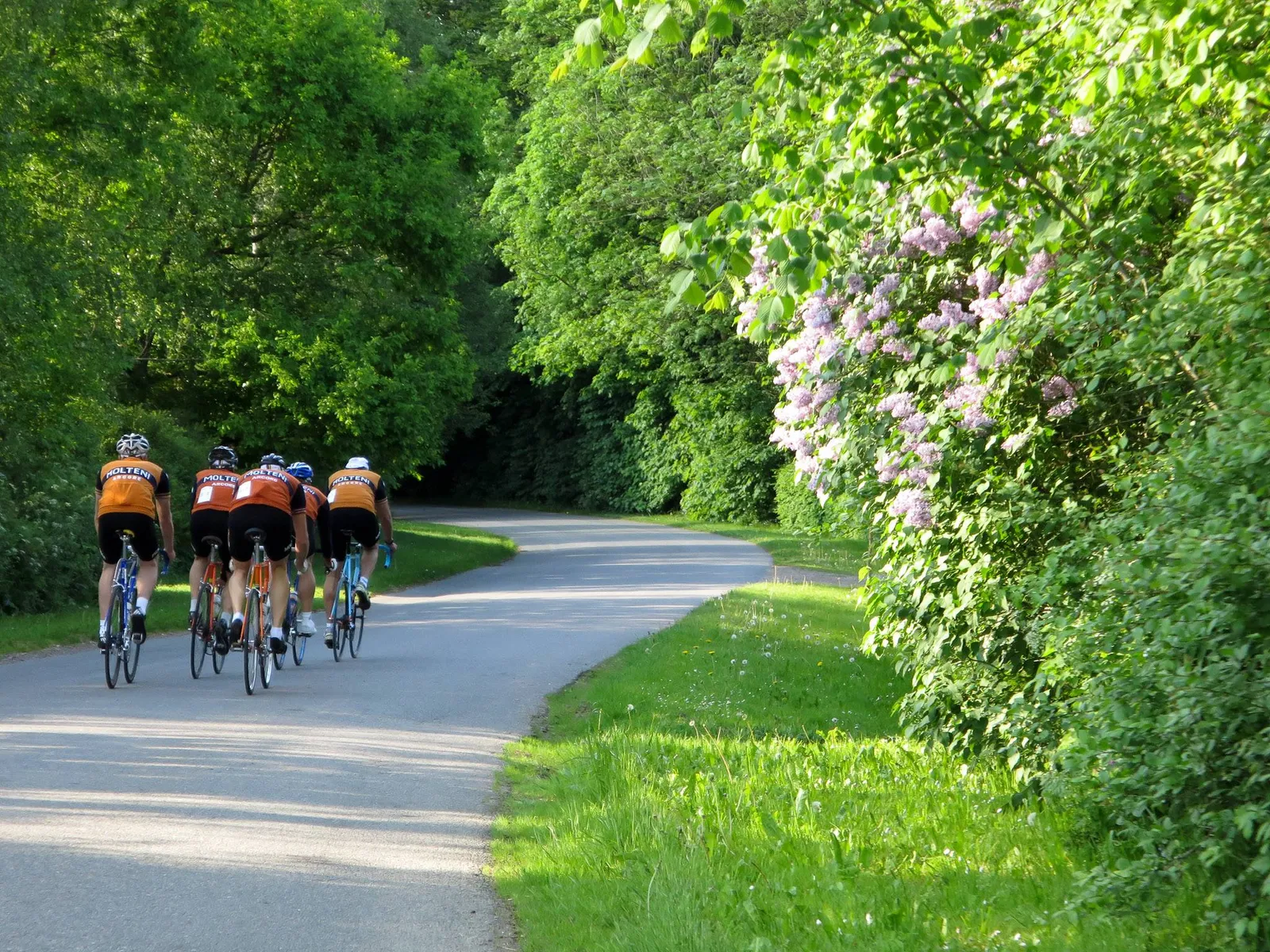 Det var sommer og idyl - men det så Det Orange Tog med 50 km/t ikke meget af
